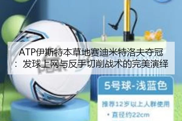 ATP伊斯特本草地赛迪米特洛夫夺冠：发球上网与反手切削战术的完美演绎